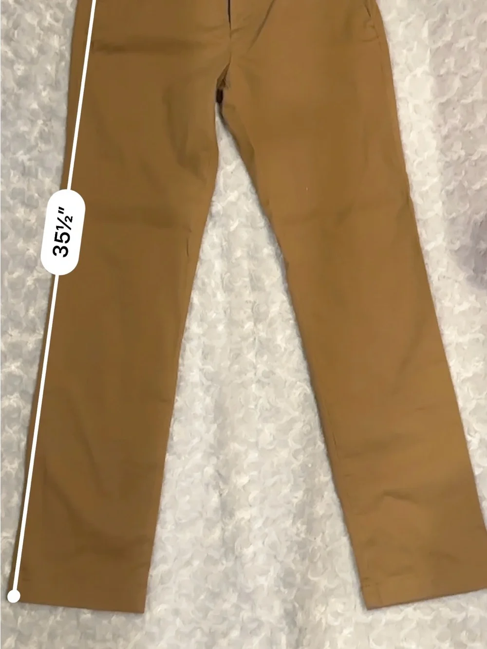 N/A classic camel